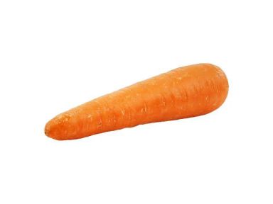 Carrot