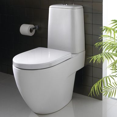  Twyford WC Button Flush