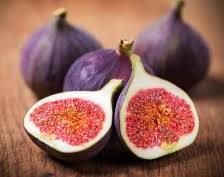 Fig 