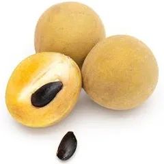 Chikoo 