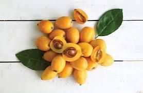 Loquat fruit 