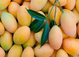 Mango (Colombia)