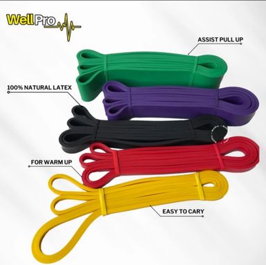 Wellpro Long Resistance Band Set