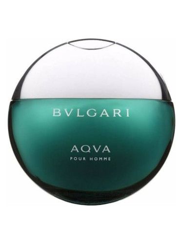 Bvlgari Aqva Pour Homme EDT 100ml 