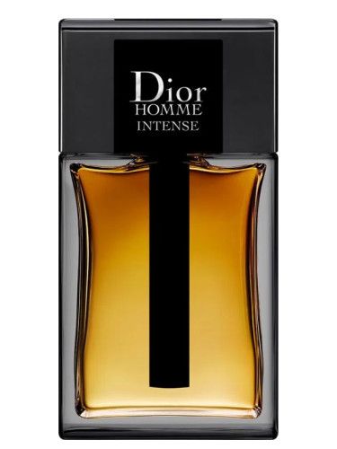 Dior Homme Intense EDP 100ml 