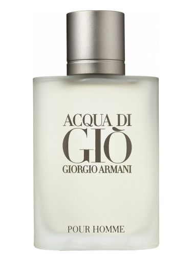 Giorgio Armani Acqua Di Gio Pour Homme EDT 100ml (Classic) 