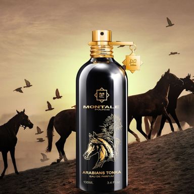 Arabians Tonka by Montale decant