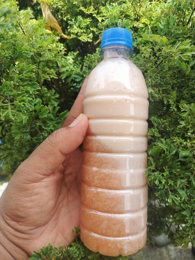 Arrowroot & Seamoss Drink +