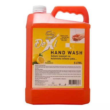 Dexi Handwash Berry 5L