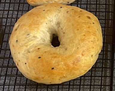 Everything Bagel (1 dozen)