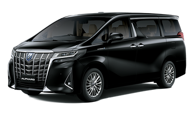 TOYOTA Vellfire/Alphard VIP 8hr Island Tour