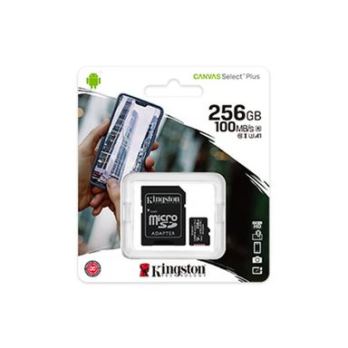 Kingston Micro SD 256GB Class 10