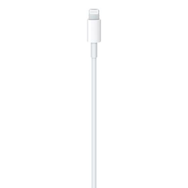 Apple USB-C to Lightning Cable (1 m) 