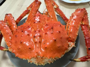 🦀挪威紅長腳蟹 （6釘）🦀