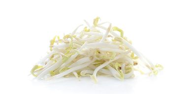 Beansprout 铁板烧豆芽