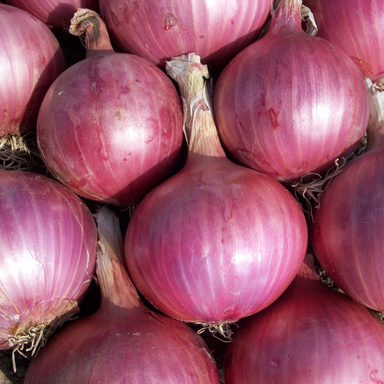 Red Onions (Vitunguu)