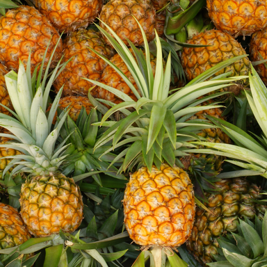 Pineapple (Nanasi)