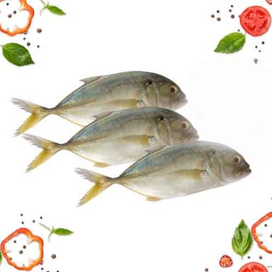 TREVALLY FISH (PAARAI MEEN) - CLEANED (700G TO 800G)