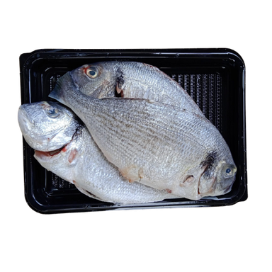 INDIAN SEABASS - CLEANED 750G TO 850G