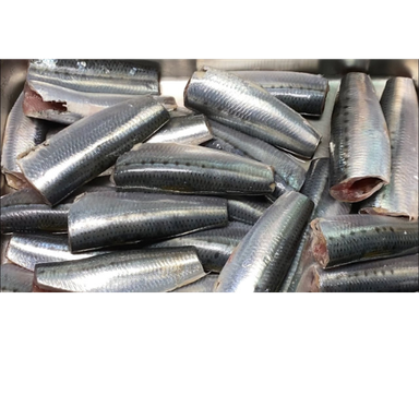 SARDINES -  CLEANED 750G TO 850G