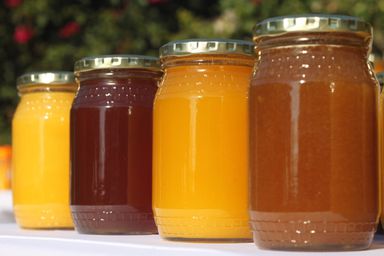 500g Honey in Glass Jar: Sunflower 