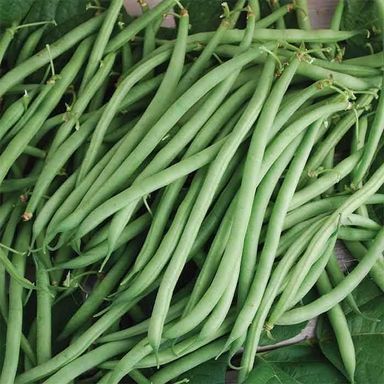 french Beans