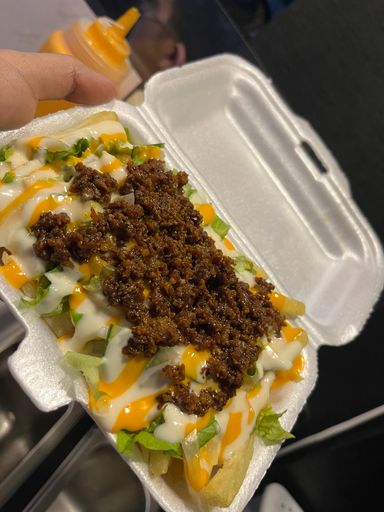 Shawarma Fries