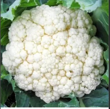 Cauliflower