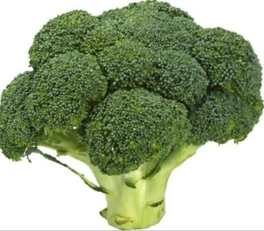 Broccoli