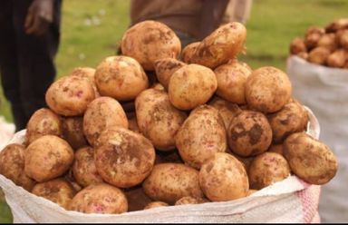 Irish potatoes 