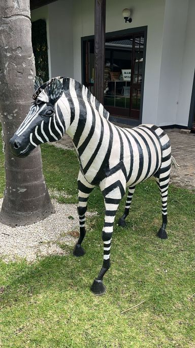 Zebra