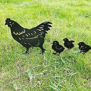 Chicken and chicks