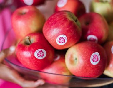 Pink lady apples 