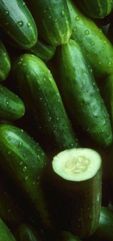 Cucumber 