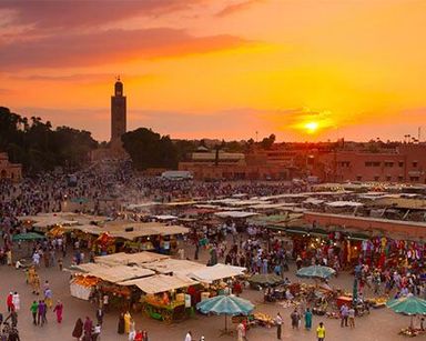 Visit Tour with official guide full day marrakech with vehicle