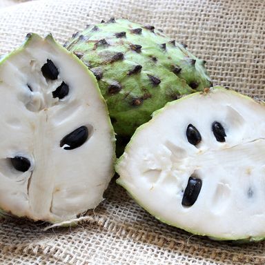 Soursop  (Stafeli)