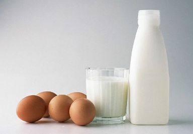 Dairy & Animal Products