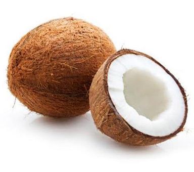 Coconut 1pcs