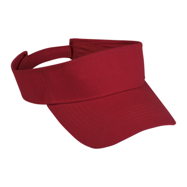 Arena Visor