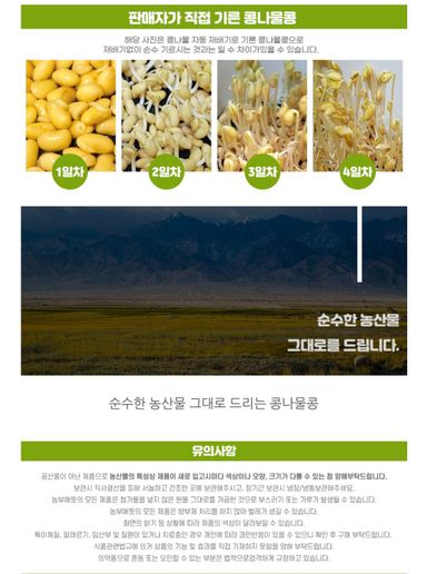 24년 햇콩나물 콩 500g