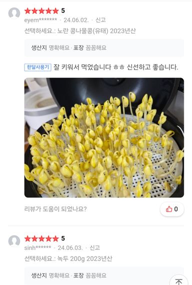 24년 햇콩나물 콩 500g