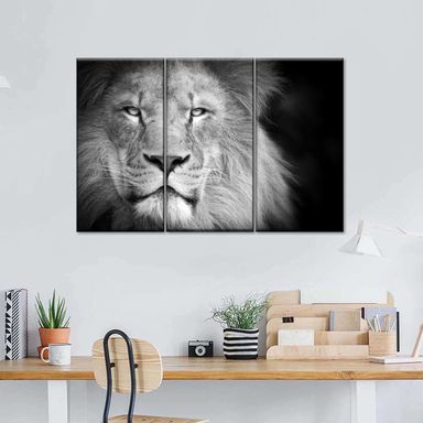 Lion Focus 3 Piece Canvas Wall Art For Living Bedroom Office Home Decor 