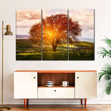 Sunlight Tuscan Tree 3 Piece Canvas Wall Art For Living Bedroom Office Home Decor 