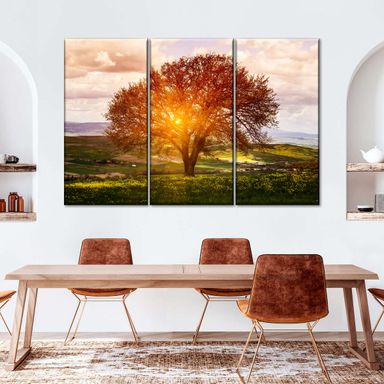 Sunlight Tuscan Tree 3 Piece Canvas Wall Art For Living Bedroom Office Home Decor 