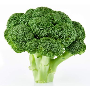 Brocolli