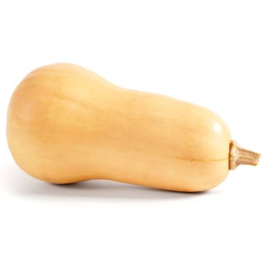 Butternut