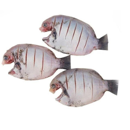 KARIMEEN CLEANED 750G TO 850G