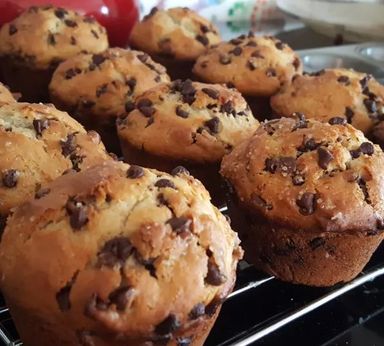 Choc  Chip Muffins