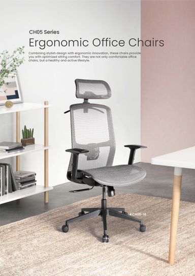 Ergonomic Office Chairs