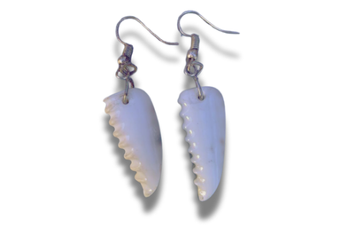 Earing (Shell Curved)